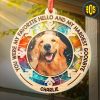 Personalized-Suncatcher-Ornament-Memorial-Dog-Gift-You-Were-My-Favorite